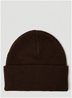 Chase Beanie Hat in Brown