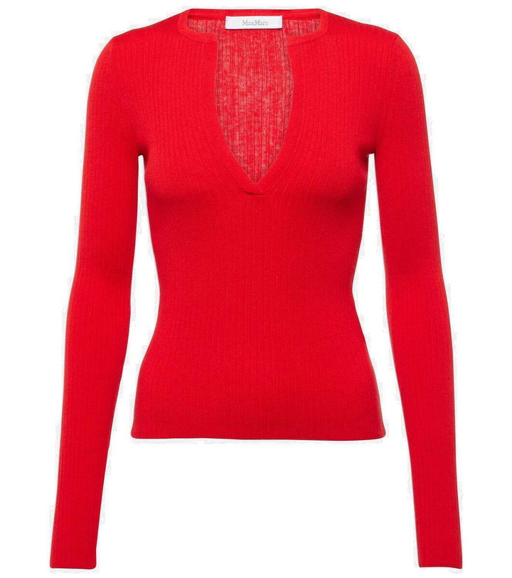 Photo: Max Mara Urlo ribbed-knit silk and cashmere sweater