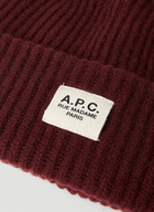 James Beanie Hat in Burgundy