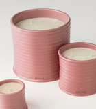 Loewe Home Scents Ivy Small candle