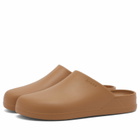 Crocs Dylan Clog in Sepia