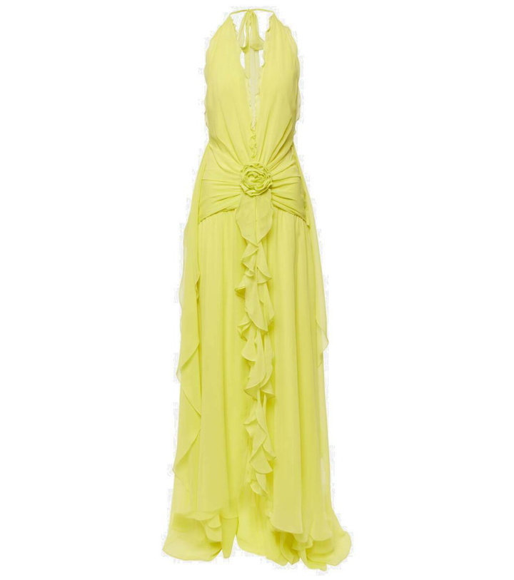 Photo: Blumarine Floral-appliqué silk georgette gown