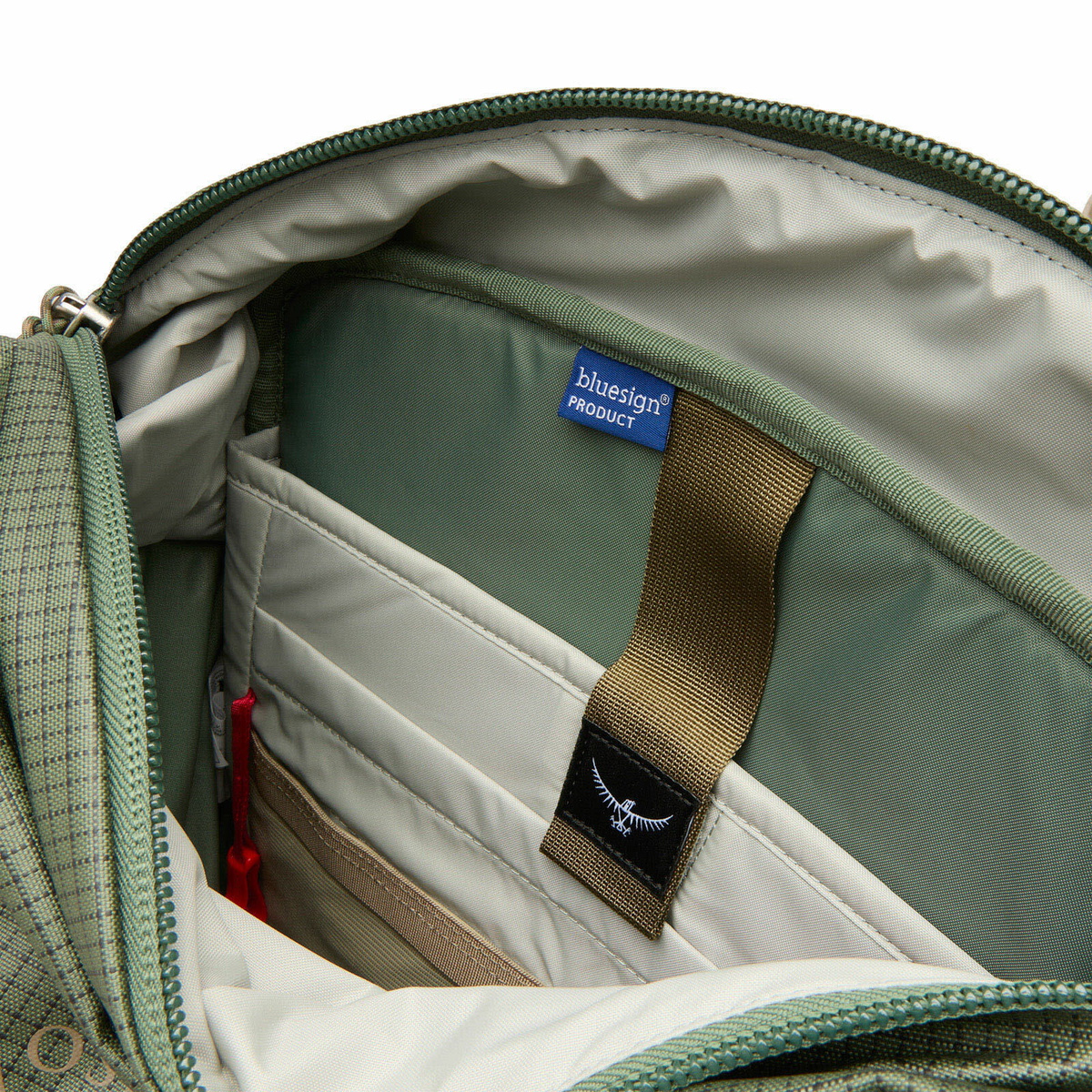 Osprey Transporter Zinch Backpack in Pine Leaf/Earl Grey 