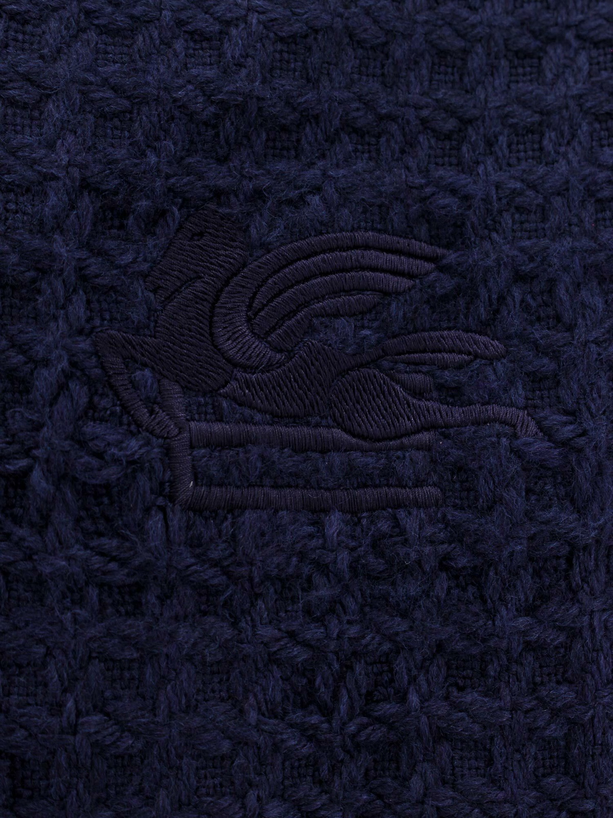 ETRO Men's Hoodie Blue