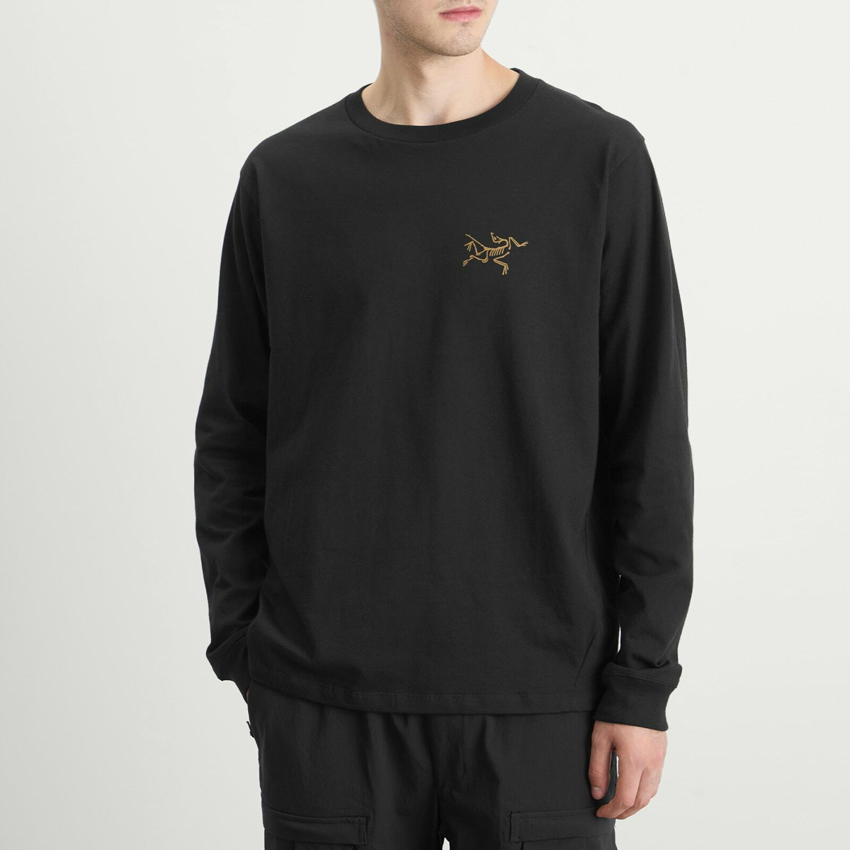 Arc'teryx Men's Kragg Cotton Long Sleeve T-shirt in 24K Black Arc