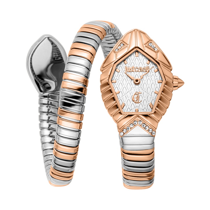 Photo: Just Cavalli Speranza Silver-tone Dial Ladies Watch JC1L356M0065
