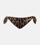 Dolce&Gabbana Leopard-print bikini bottoms