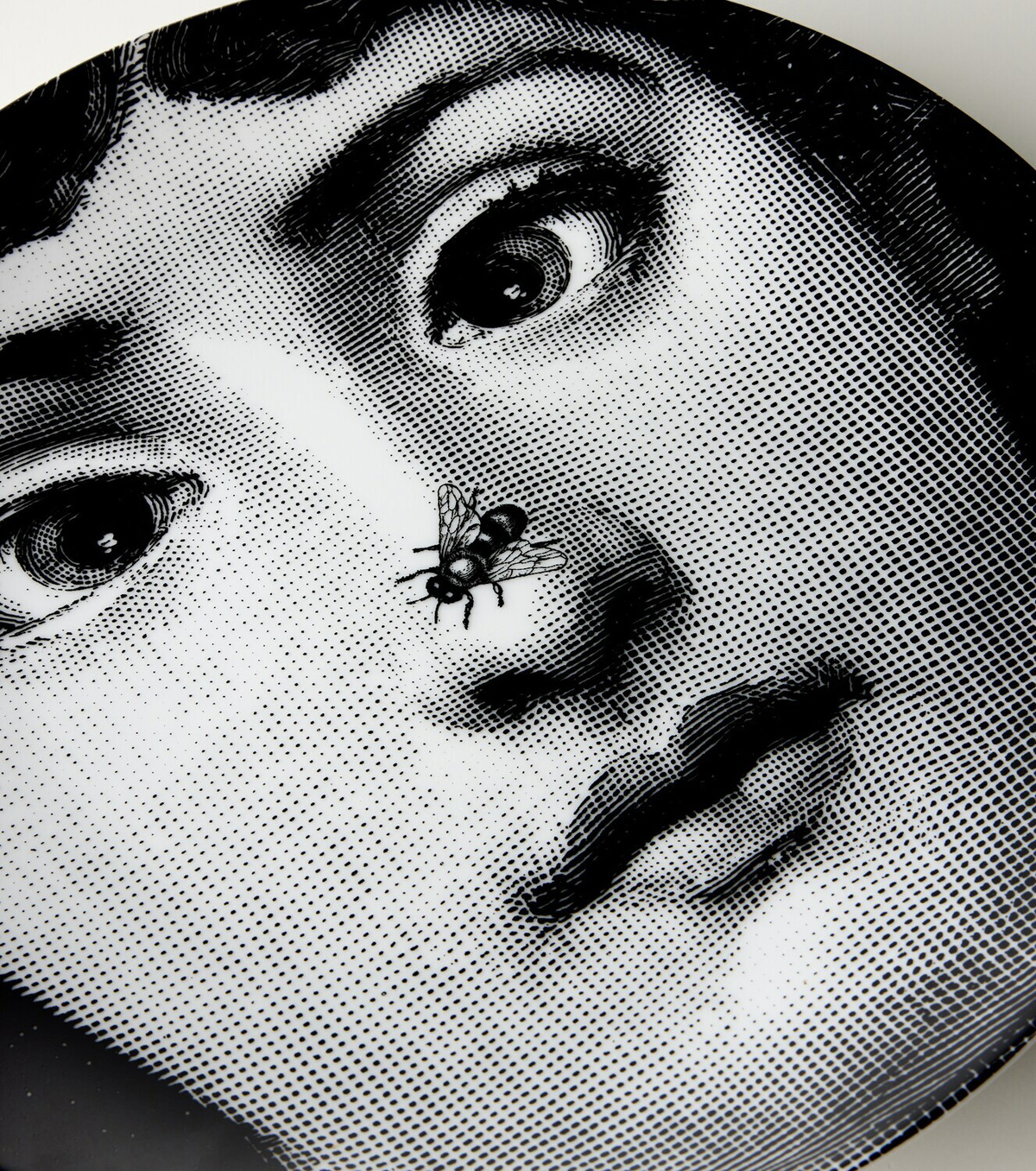 Fornasetti Tema E Variazioni N.363 porcelain wall plate