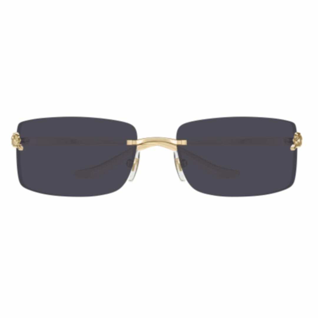 Cartier Eyewear Ct0503s-001 Gold-gold-grey