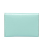 Acne Studios Men's Flap Card Holder in Pastel Green