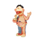 Mighty Jaxx XXRAY Plus 8.5'' Ernie Retro Edition in Multi 