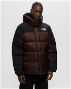 The North Face Hmlyn Down Parka Black/Brown - Mens - Down & Puffer Jackets