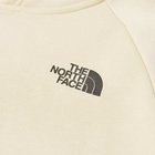 The North Face Men's Raglan Redbox Hoody in Gravel