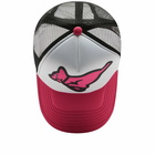 ICECREAM Men's Running Puppy Trucker Cap in Pink