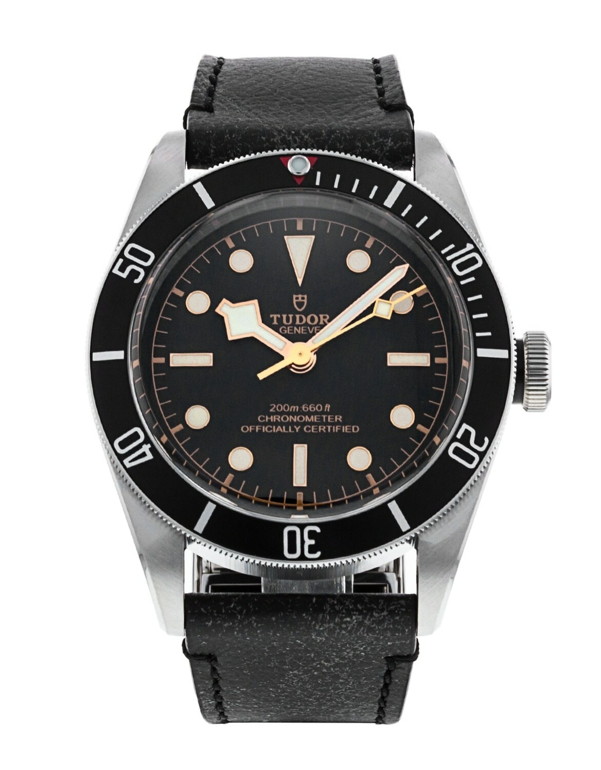 Tudor Black Bay M79230N-0008 Tudor