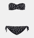 Dolce&Gabbana Polka-dot bikini