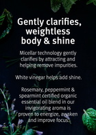 Aveda - Rosemary Mint Weightless Conditioner 250ml – Female – Hair Conditioner