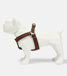 Gucci - Web Stripe L/XL faux leather dog harness