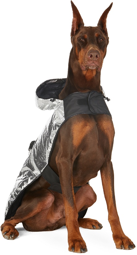 Photo: Moncler Genius Silver Poldo Dog Couture Edition Laminated Mondog Cloak Jacket