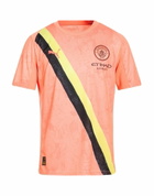 Puma Mens T-shirt in Orange