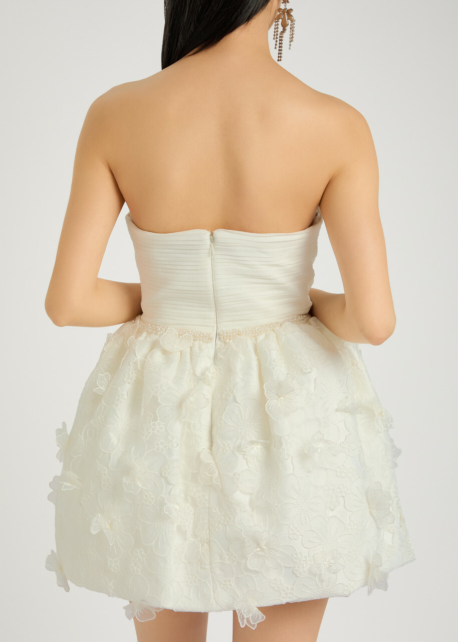 open lace back dress Savanna Puffy Short Sleeved Organza Mini Dress