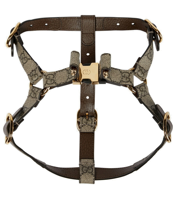 Photo: Gucci - GG Supreme S/M faux leather dog harness