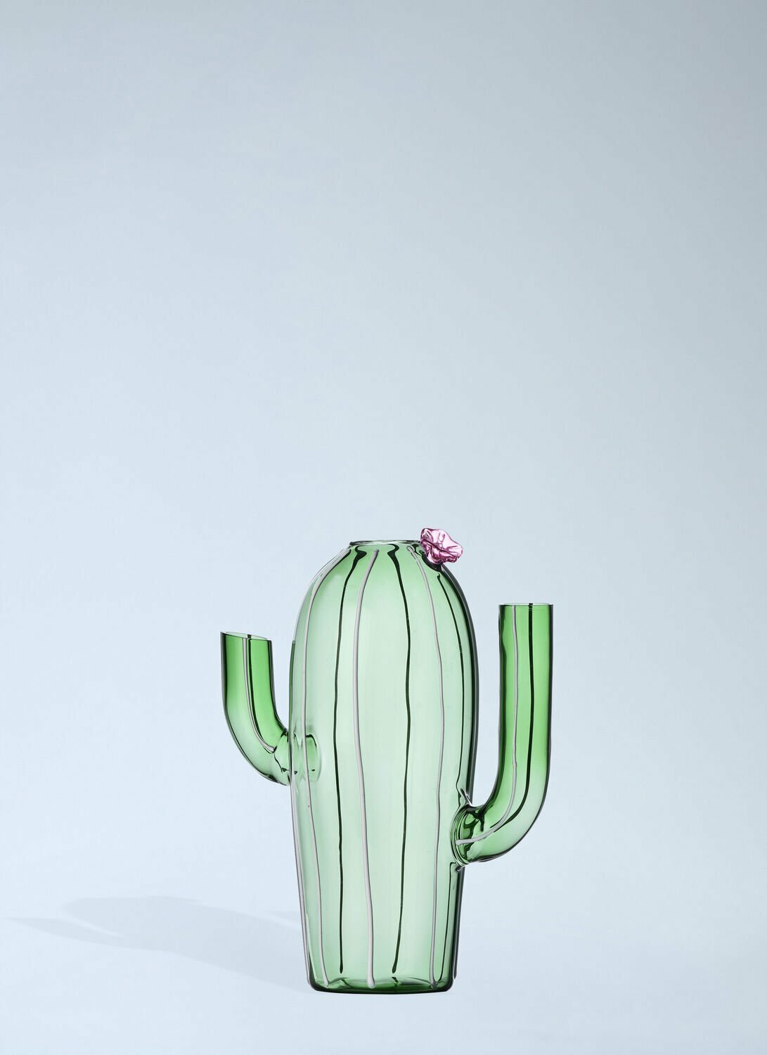 Ichendorf Milano Desert Plant Vase