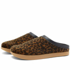 Yogi Men's Floyd Mule in Leopard