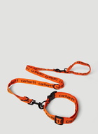 Script Dog Leash And Collar in Orange