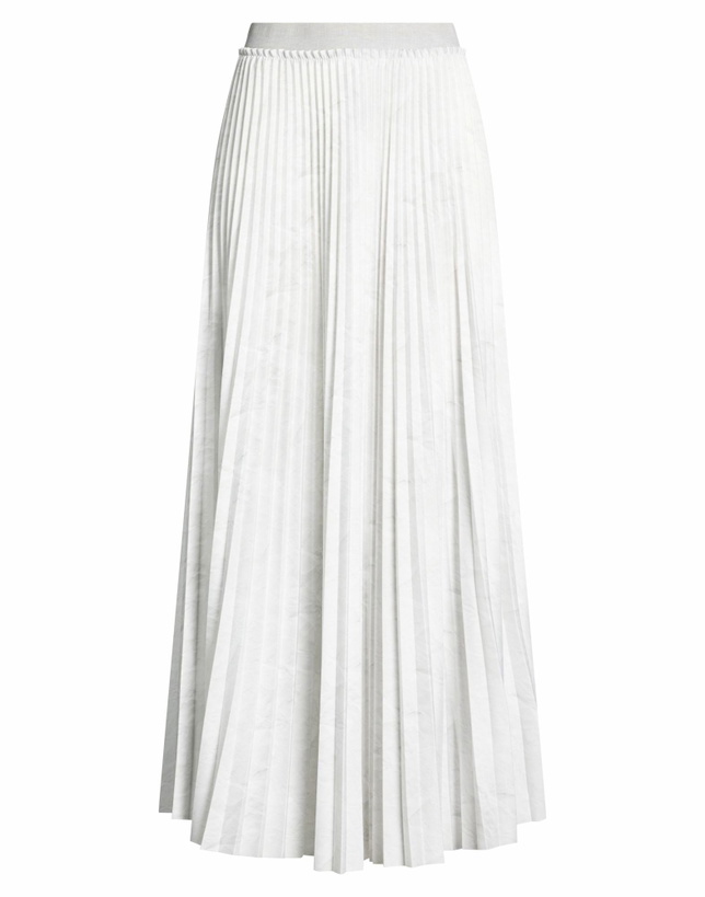 Photo: Peserico Womens Maxi skirt in Light grey