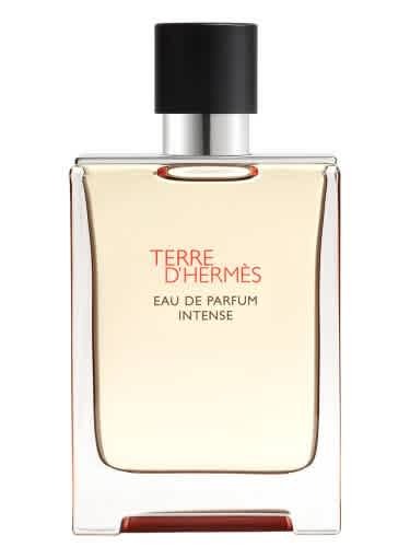 Hermes Mens Terre D'Hermes Intense EDP Spray 3.4 oz Fragrances 3346130424116