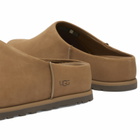 UGG Women's Otzo Clog in Dark Chestnut