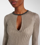 Brunello Cucinelli Monili ribbed-knit lamé maxi dress