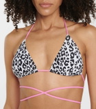 Reina Olga Miami bikini top