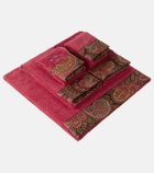 Etro Set of 5 cotton terry towels