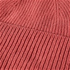 Colorful Standard Merino Wool Beanie in Raspberry Pink