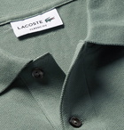 Lacoste - Cotton-Piqué Polo Shirt - Men - Sage green