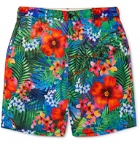 Engineered Garments - Floral-Print Cotton Shorts - Blue