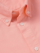 NN07 - Arne 5725 Button-Down Collar Organic Cotton Oxford Shirt - Pink