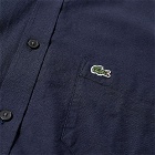 Lacoste Men's Button Down Oxford Shirt in Navy
