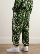 SAINT Mxxxxxx - BAPE® Straight-Leg Webbing-Trimmed Camouflage-Print Shell Trousers - Green