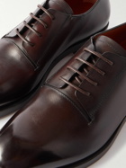 Zegna - Torino Leather Oxford Shoes - Brown