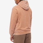 Air Jordan Men's Washed Fleece Popover Hoody in Mineral Clay