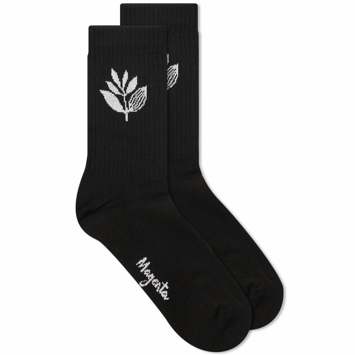 Photo: Magenta Men's Plant Socks in Black