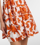 Dolce&Gabbana Majolica cotton poplin minidress