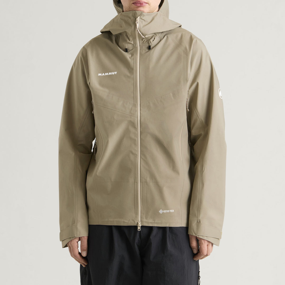 Mammut Men's Crater IV Gore-Tex Jacket in Sablun