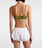 The Attico Embroidered cotton shorts