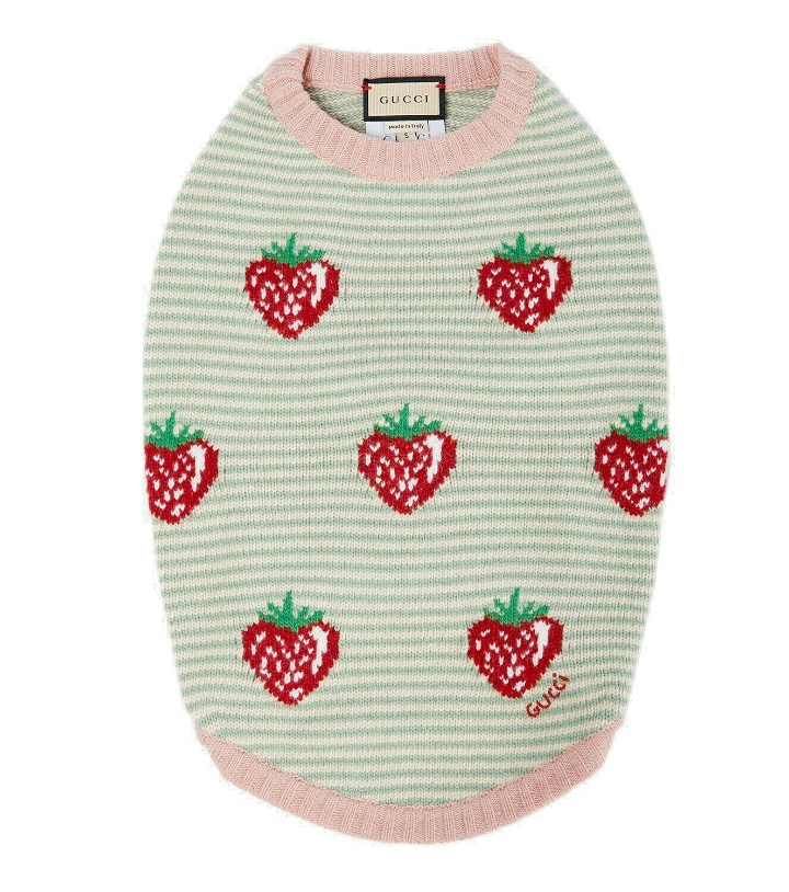 Photo: Gucci - Strawberry wool dog sweater