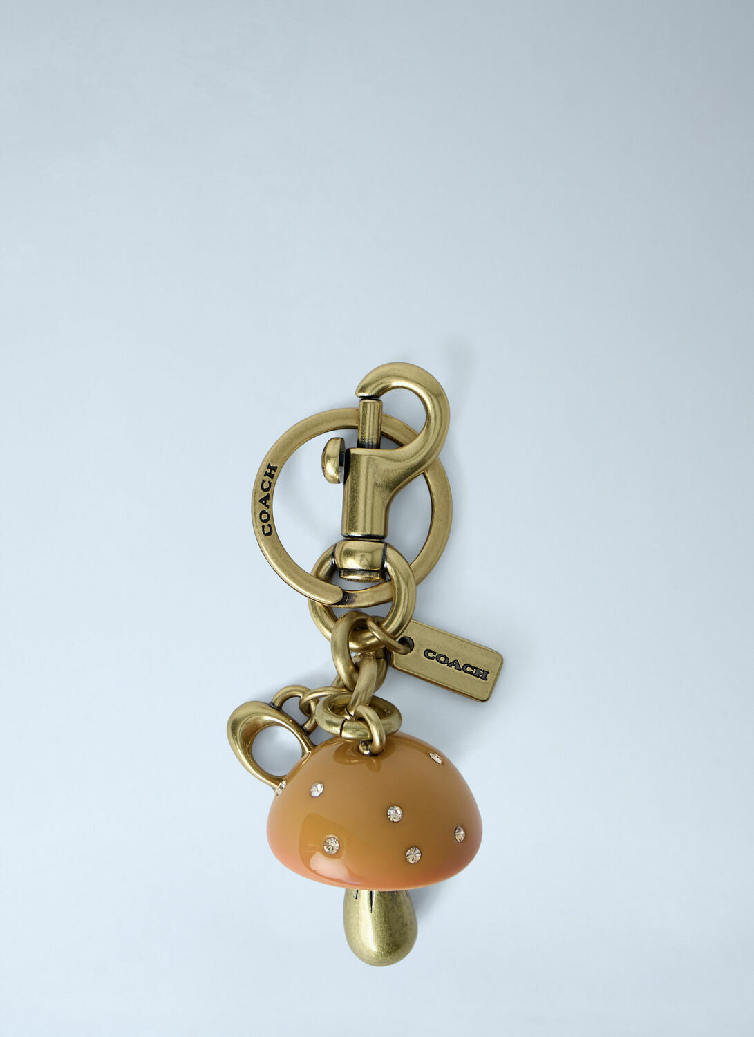 Coach Bag Charm
