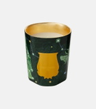 Trudon Fir Classic scented candle